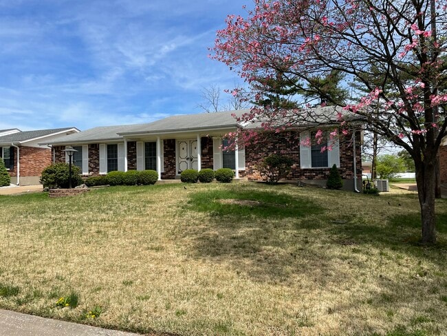 Photo - 5819 Oak Branch Dr