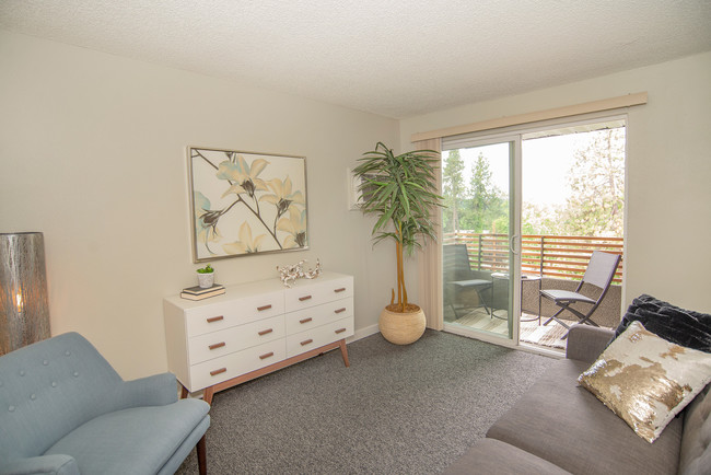 South Hill Heights Apartments - South Hill Heights Apartments