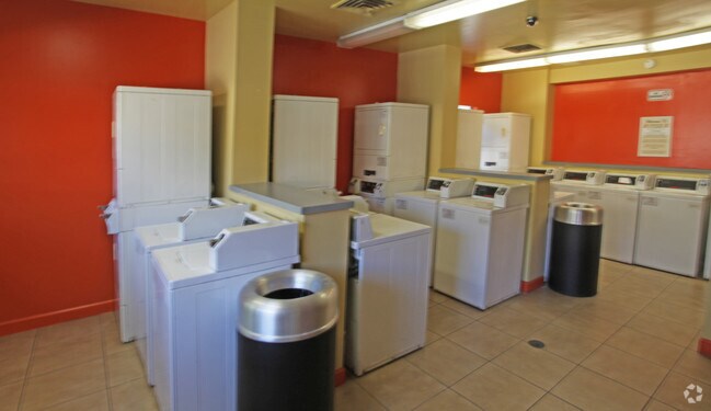 Photo - Shadow Brook