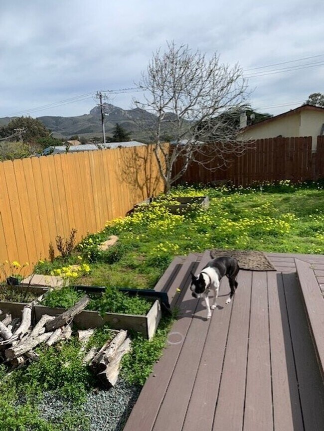 Renovated Private Master Suite in Los Osos... Rental House Rental in