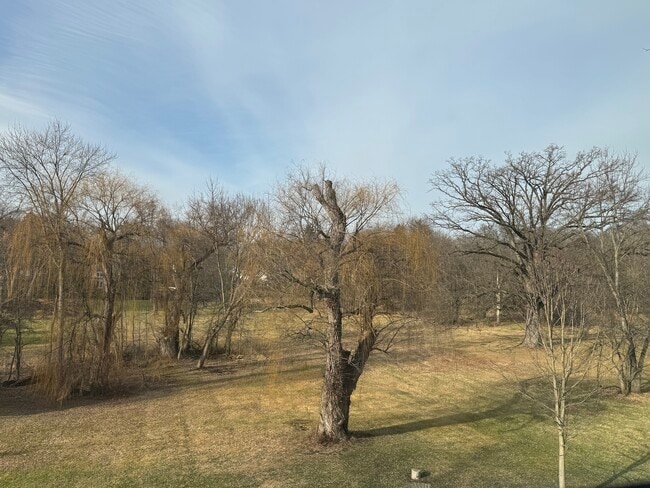 View from Kitchen - 2237 Evergreen Rd Unit 5