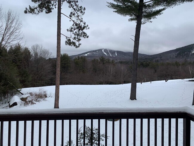 Photo - 65 Bear Puddin Ln