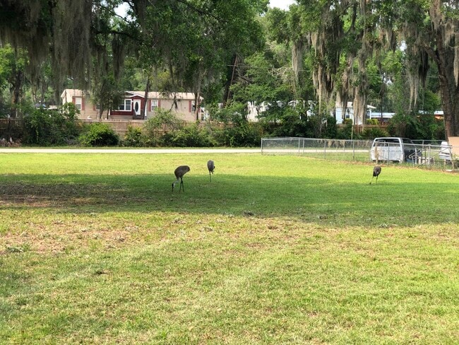 Photo - 18449 SE 52nd Pl