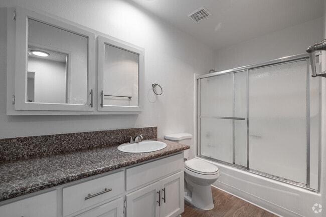 2BR, 1BA - 1,100SF - Bathroom