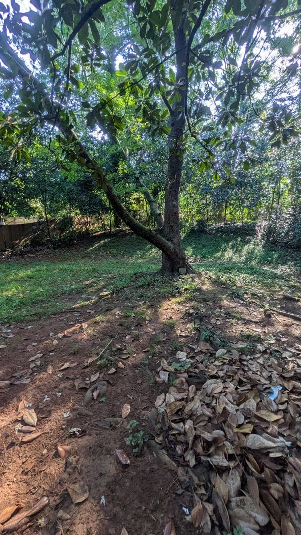 Photo - 2068 E Lilac Ln