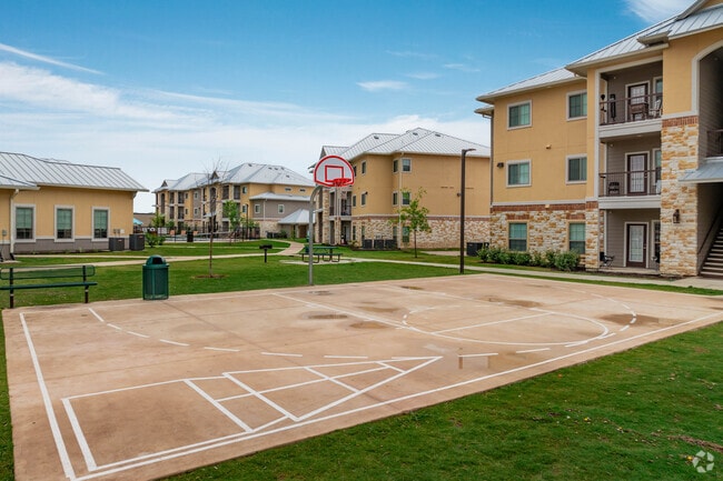 BAsketball Court