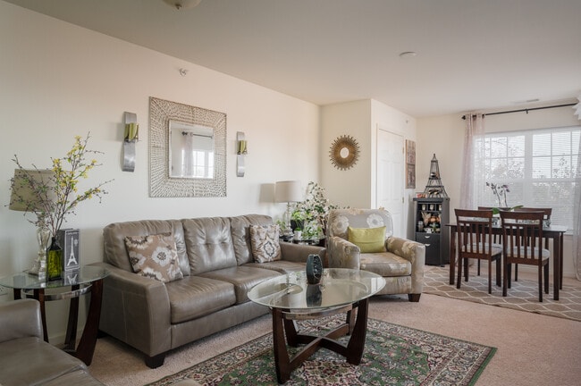 Living Room - Lynnhaven Cove Rental