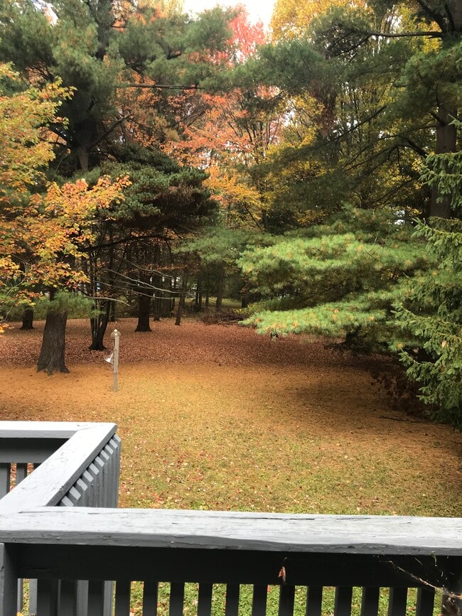 Photo - 8 Cardinal Dr