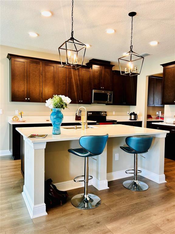 Photo - 33234 Sycamore Leaf Dr