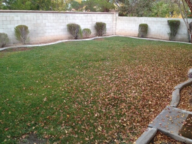 Photo - WONDERFUL 2 STORY HOME IN THE HEART OF GREEN VALLEY 3 BED 2.5 BATH BEAUTIFULLY LANDSCAPED!