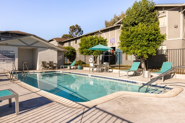 Love where you live when you live at View Apartments.