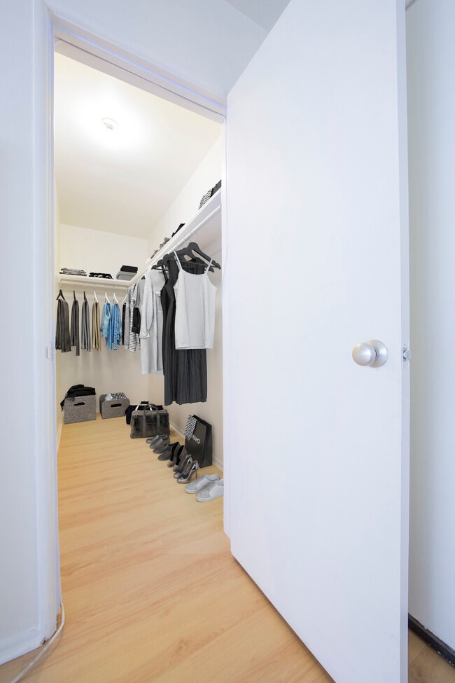 Studio Staged Walk-In Closet