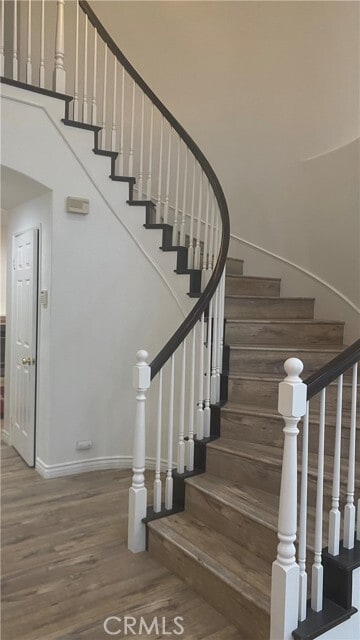 Photo - 57 Bella Donaci