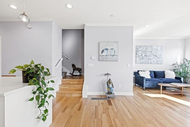 Photo - 799 Robert St