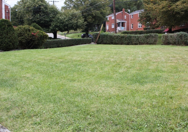 Front yard - 1035 McCabe St