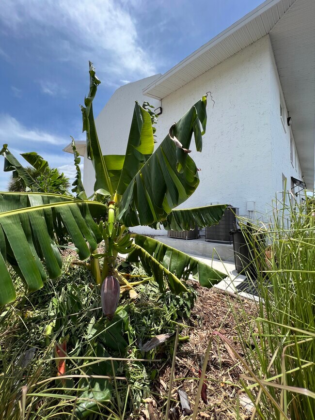 Photo - 146 Boundary Blvd