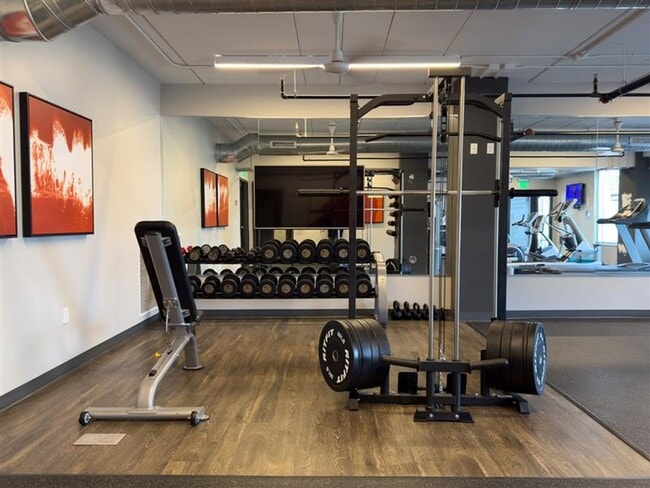 Red44 | Luxury Apartments