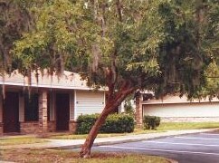 Photo - Willows Village