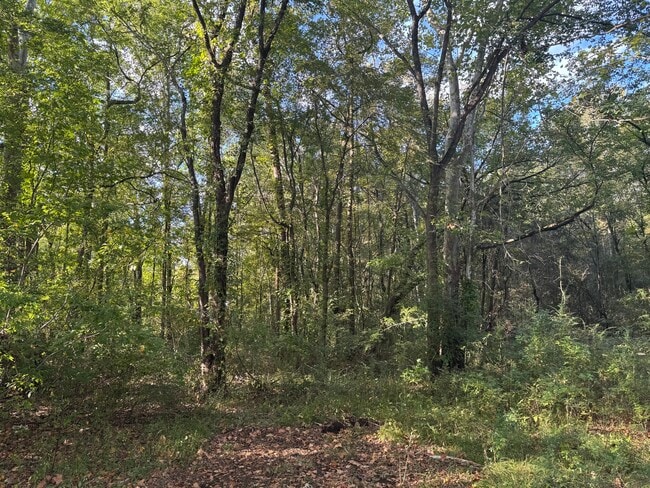 Photo - 130 Value Rd