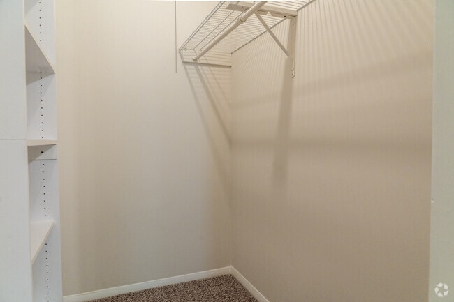 2BR, 1BA - 905SF - Walk-In Closet