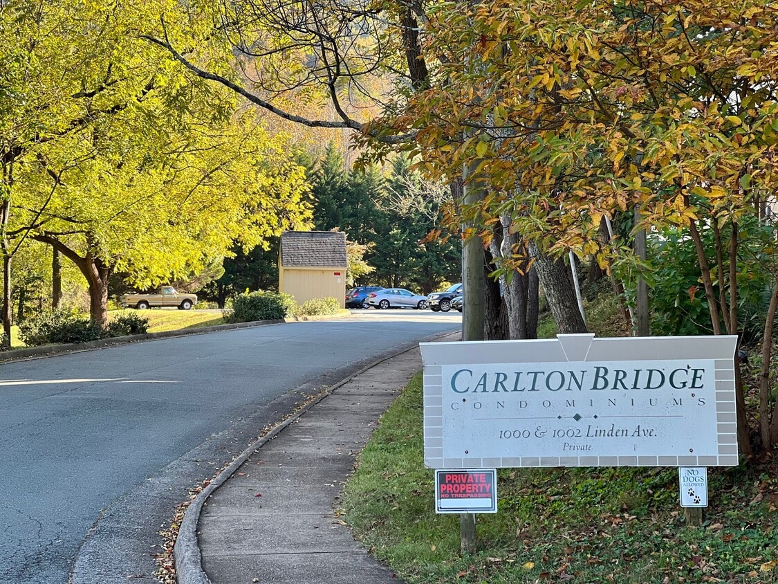 Photo - 1000 Linden Ave (Charlottesville, VA)