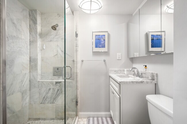 Carrara marble bathroom - 290 Commonwealth Ave Unit #B