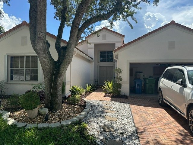389 Cameron Dr