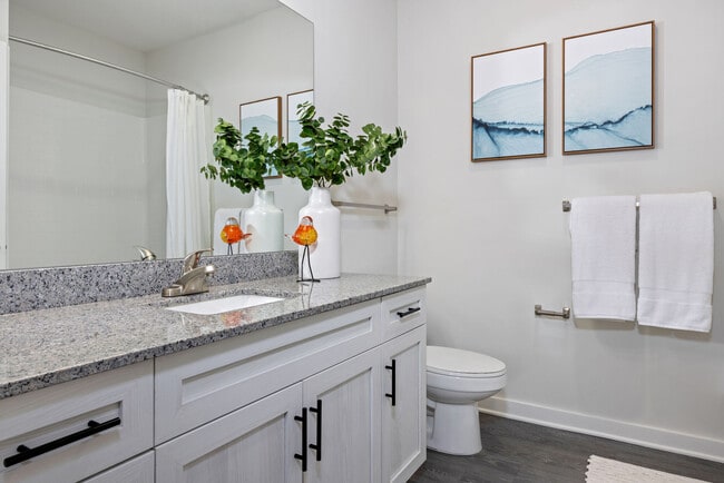 Photo - The Horizon at Springdale Park