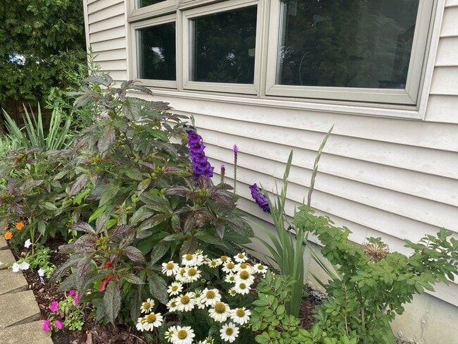 Photo - 23231 W Lakeshore Dr