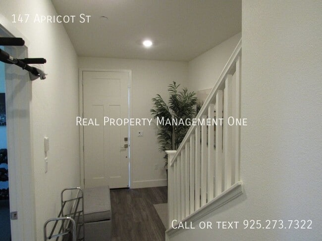 Photo - 147 Apricot St