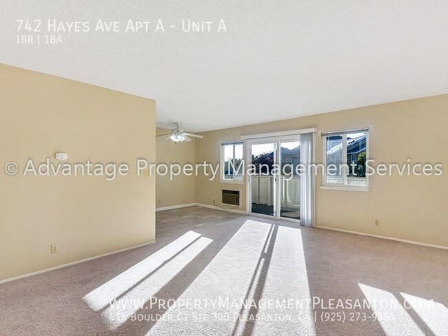 Large 1 bed/1 bath, 725 sq. ft off East Ave - Large 1 bed/1 bath, 725 sq. ft off East Ave Apartment Unit A