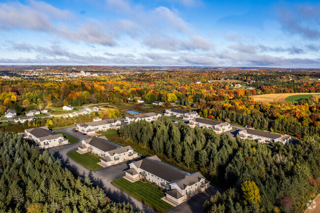 Aerial - Towering Pines Rental