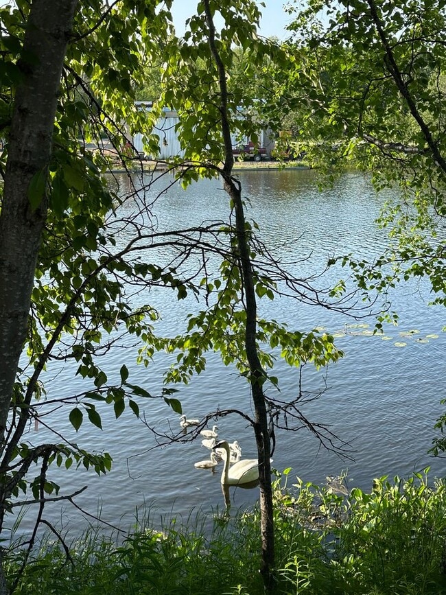 Photo - 1670 N Basie Point Cir Unit 2