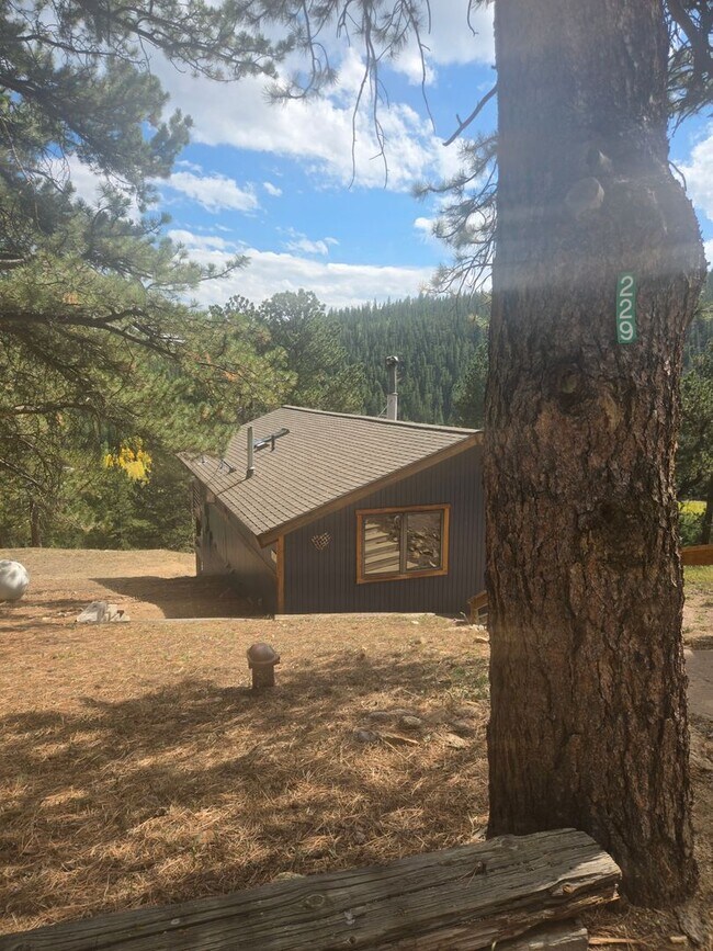 229 Crestwood Ct
