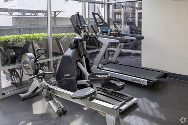 Gimnasio