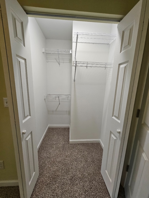 Photo - 4843 Anhinga Ln