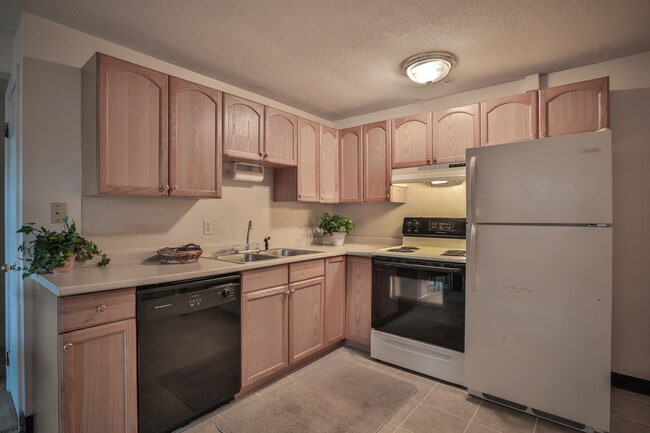 Photo - Hudson Gardens