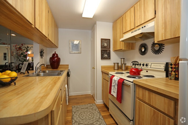 Park Avenue Apartments For Rent in Tampa, FL