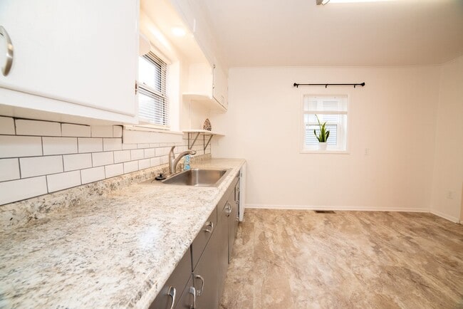 Large sink and Moen faucets - 815 7th Ave N