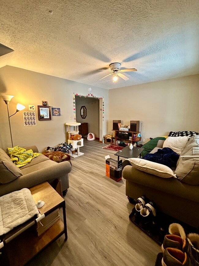 Photo - AVAILABLE JUNE- Gorgeous 4 Bed, 1 Bathroom Hillside Home!