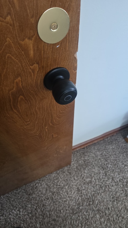 Photo - 316 Halle Dr