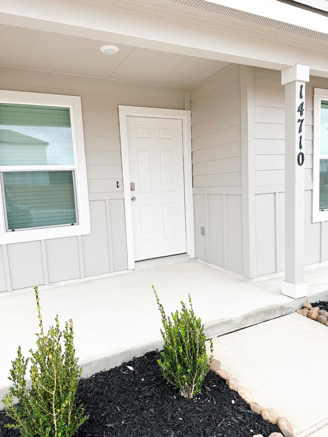 Photo - 14710 Candelabra Cactus