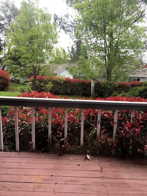 Photo - Spacious Jackson Townhome