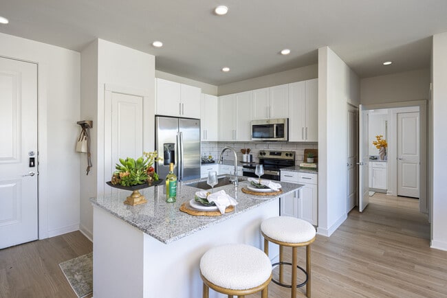 Photo - Cypress Terra