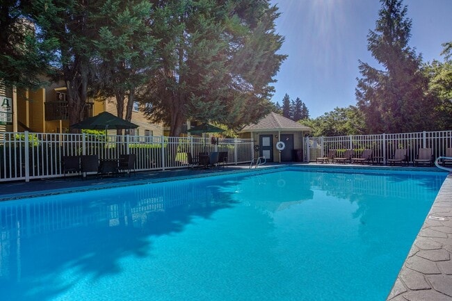Commons at Avalon Park Apartments