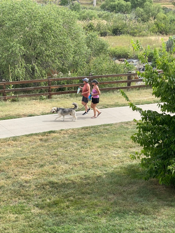 Photo - 17443 Nature Walk Tr