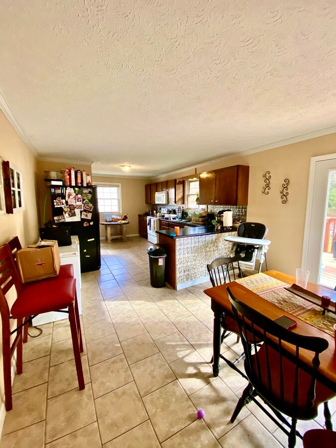 Photo - Big Briar Grove