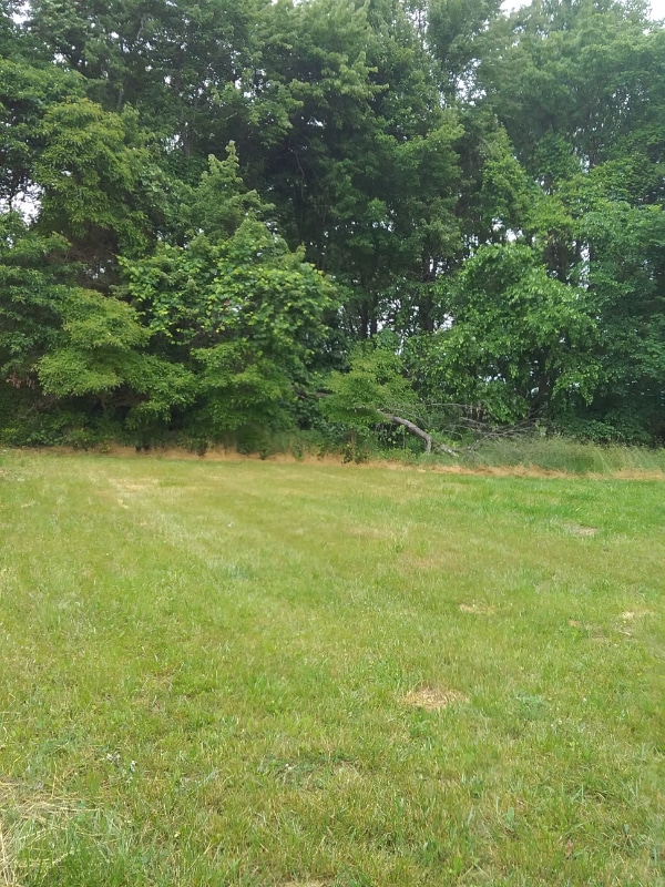 Photo - 42 Rivera Trail