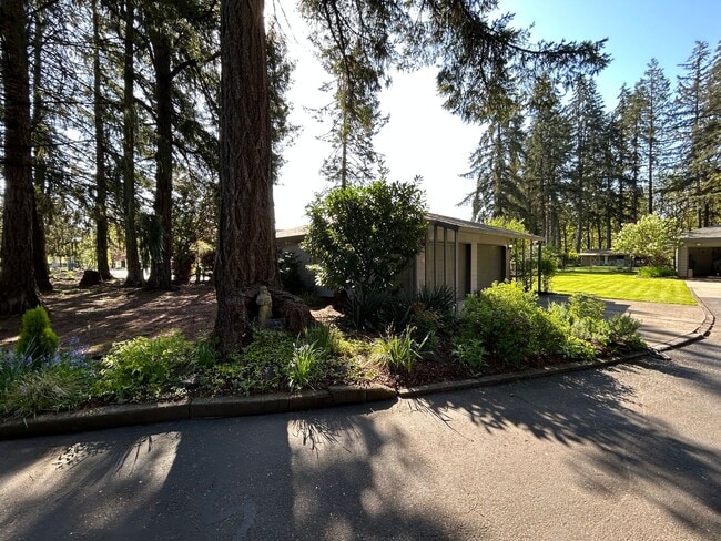 Photo - Perfectly Furnished Studio Cottage in SW M...