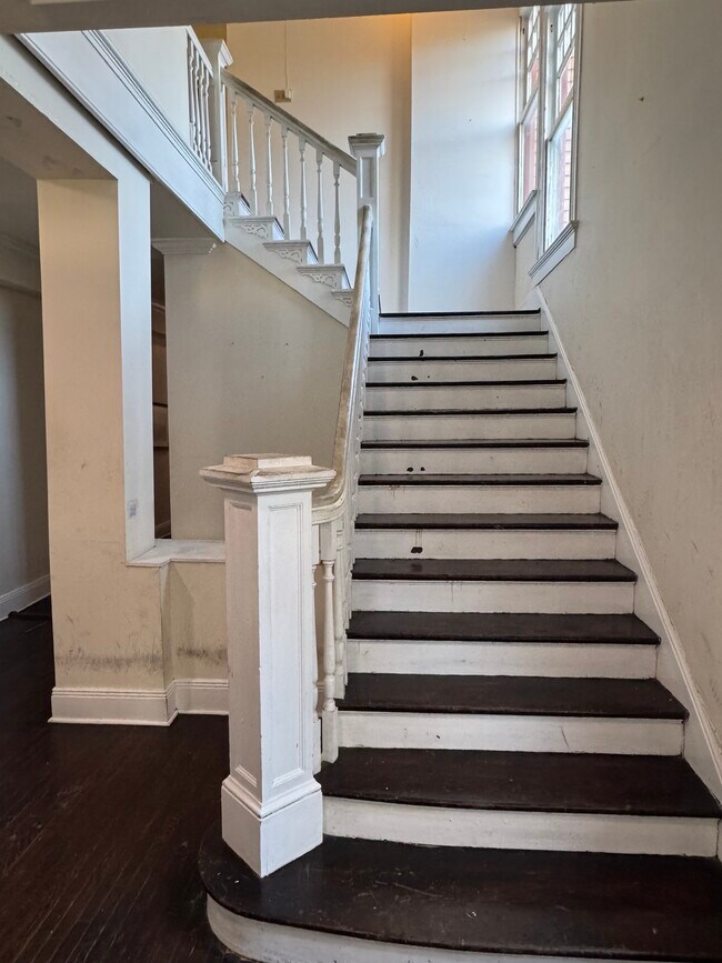 Elysian Apartments